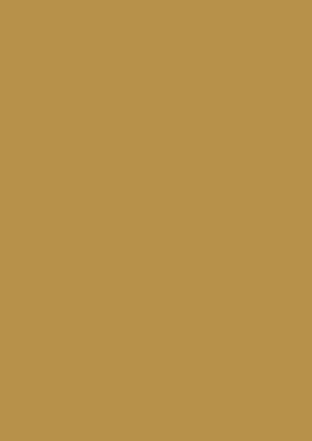 Ockergelb RAL 1024