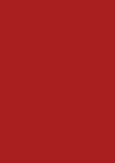 Karminrot RAL 3002