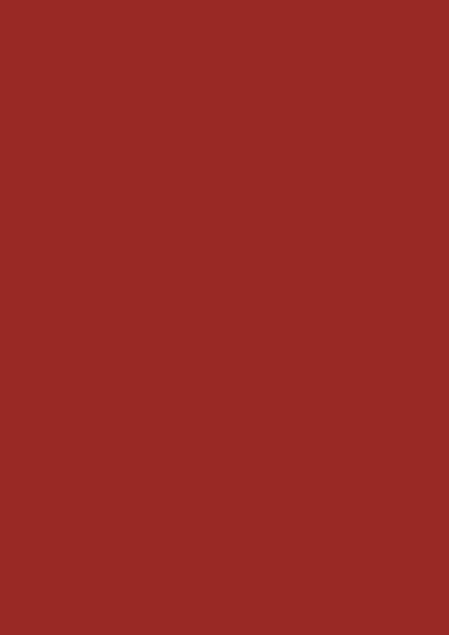 Tomatenrot RAL 3013
