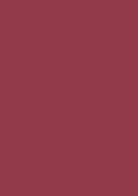 Rotviolett RAL 4002