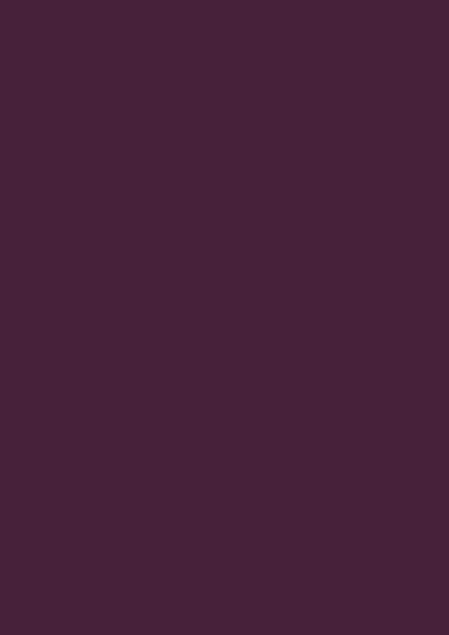 Purpurviolett RAL 4007