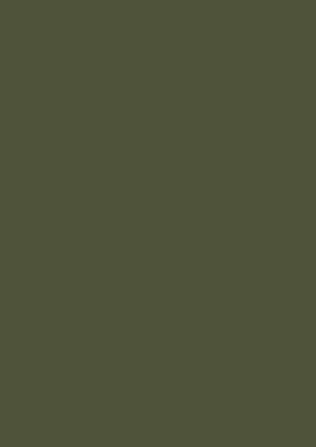 Olivgrün RAL 6003