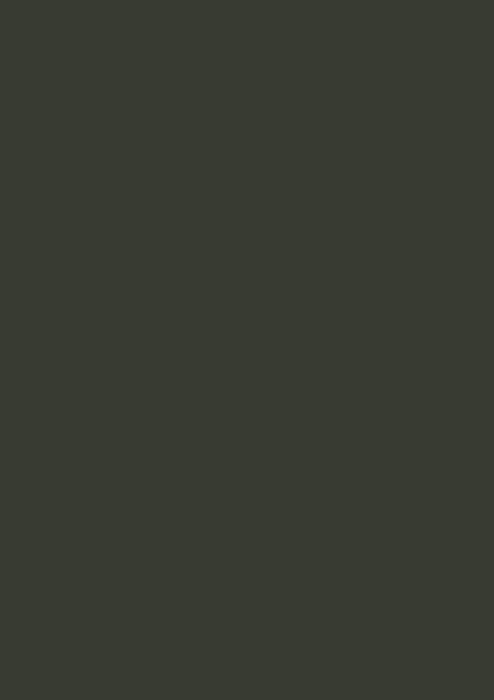 Schwarzoliv RAL 6015
