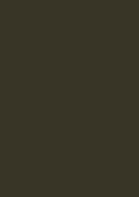 Braunoliv RAL 6022