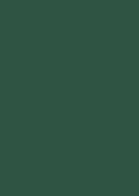 Kieferngrün RAL 6028