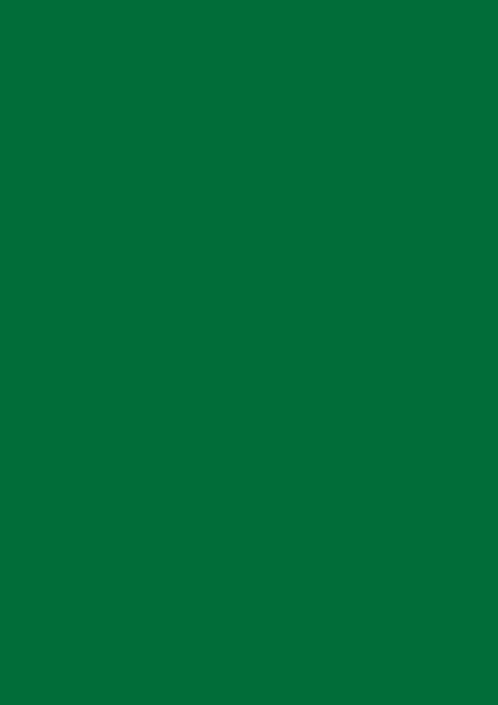 Minzgrün RAL 6029