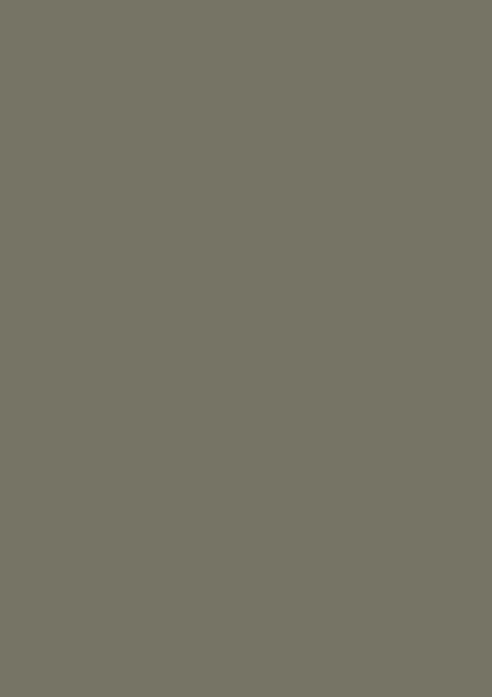 Moosgrau RAL 7003
