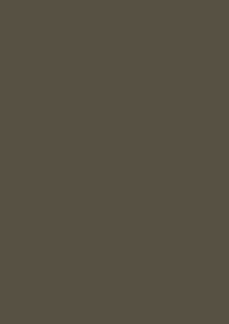 Braungrau RAL 7013
