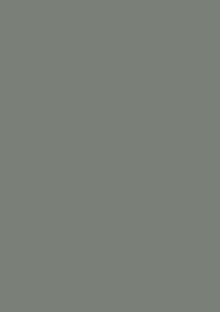 Zementgrau RAL 7033