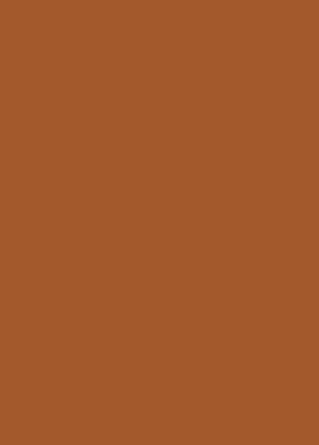 Orangebraun RAL 8023