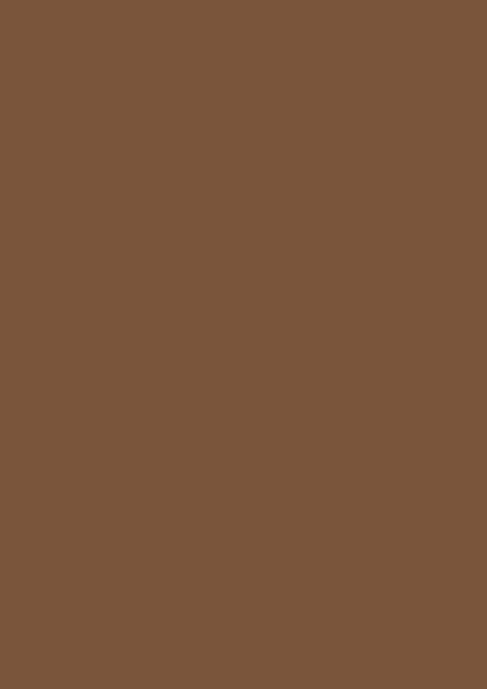 Beigebraun RAL 8024