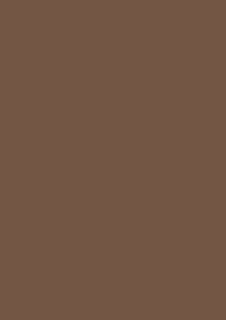 Blassbraun RAL 8025