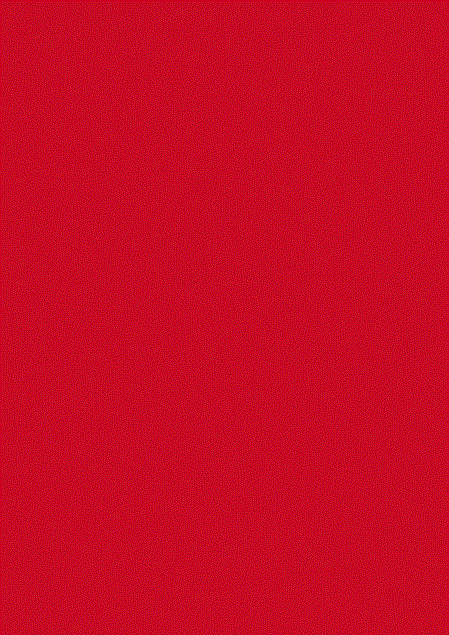 Rot